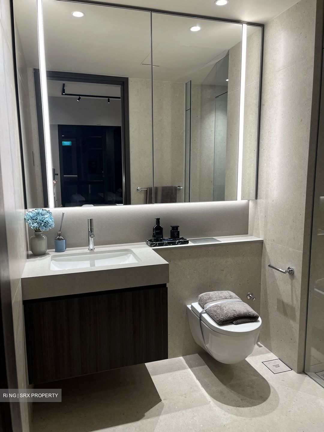 Hudson Place Residences (U/C) (D5), Apartment #572671501